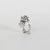 La Dragonne Mini Ring / Silver & Plain Collar